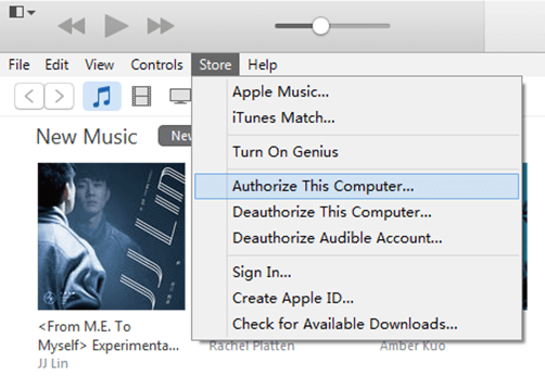 Autorisieren Sie diesen Computer in Itunes
