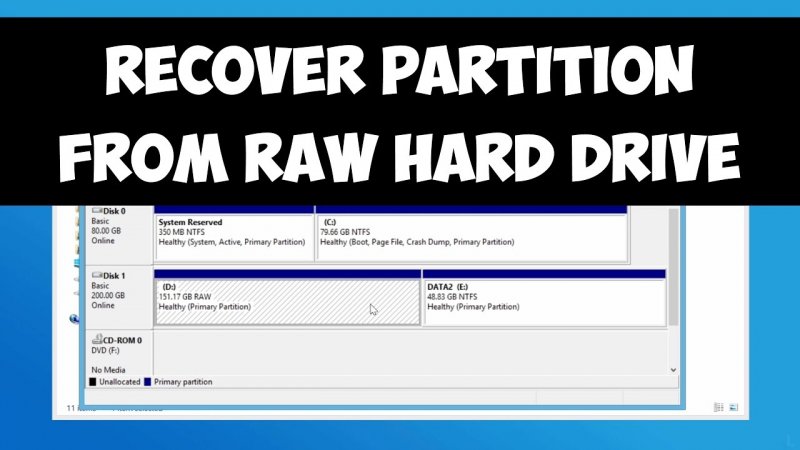 RAW Drive Recovery Software: DiskGenius