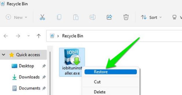 Wiederherstellen verlorener EXE-Dateien mithilfe des Papierkorbs unter Windows
