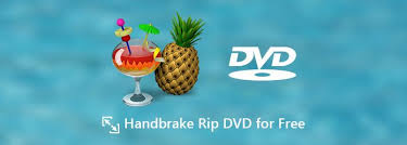 So konvertieren Sie DVDs in WMV mit HandBrake