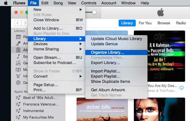 Wählen Sie die iTunes-Mediathek aus, um die iTunes-Mediathek auf den neuen Mac zu übertragen