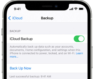 Stellen Sie gelöschte Screenshots auf iOS mithilfe von iCloud Backup wieder her