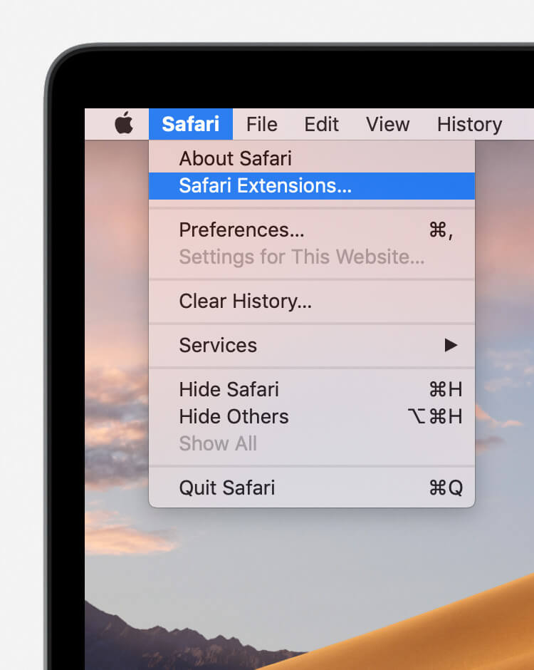 Safari-Erweiterungen