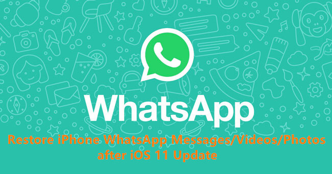 Recover WhatsApp