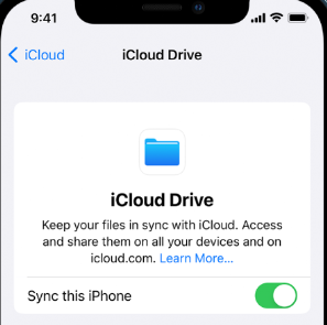 Aktivieren Sie die iCloud Drive-Sicherungseinstellungen