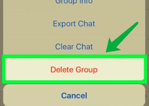Löschen Sie einen WhatsApp-Gruppenchat vom iPhone