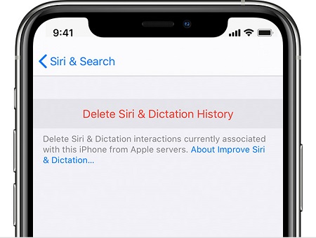 Löschen Sie den Suchverlauf von Siri auf dem iPhone