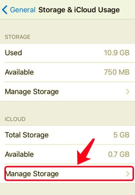 Deinstallieren Sie nicht benötigte Apps, um das iPod Slow-Problem zu beheben