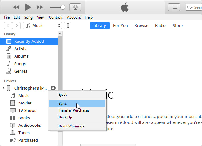 So laden Sie Sprachnotizen vom iPhone mit iTunes herunter