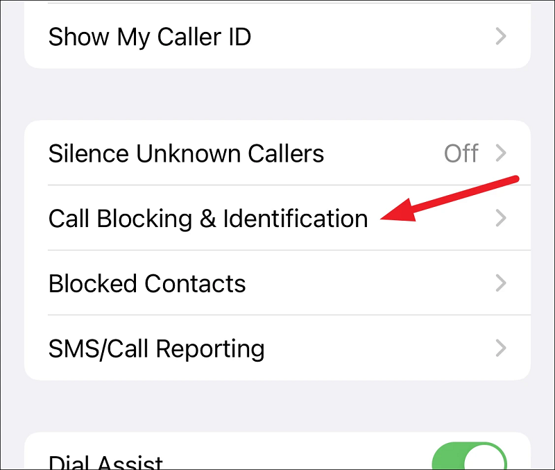 Deaktivieren Sie die Anruffilterung und -blockierung, um das Problem zu beheben, dass das iPhone die letzten Anrufe nicht anzeigt