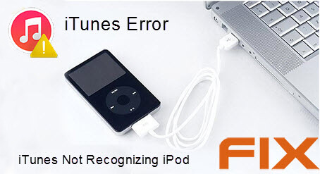 Der iPod wird von iTunes nicht erkannt