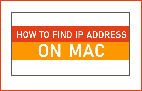 Finden Sie die IP-Adresse auf dem Mac