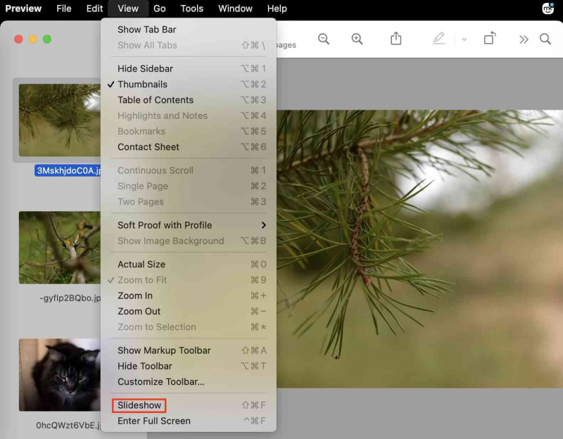 Erstellen Sie eine Diashow auf dem Mac ohne iPhoto, aber mit der Vorschau-App