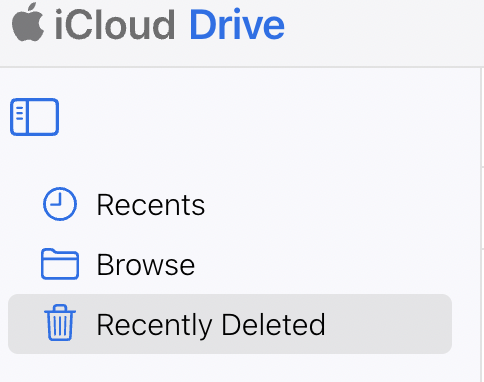Wohin gehen wiederhergestellte Dateien auf macOS-Systemen?