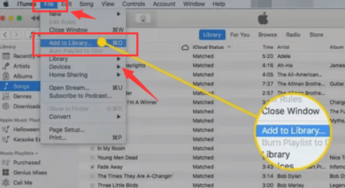 DVD in iTunes importieren
