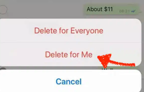 Löschen Sie iPhone WhatsApp-Nachrichten über die WhatsApp-Anwendung
