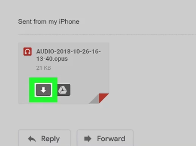 Wie speichere ich Audio von WhatsApp auf dem iPhone per E-Mail?