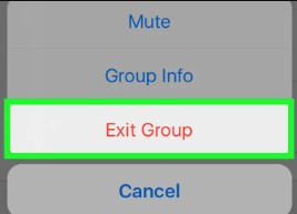 Löschen Sie iPhone WhatsApp-Nachrichten durch Verlassen der Gruppe