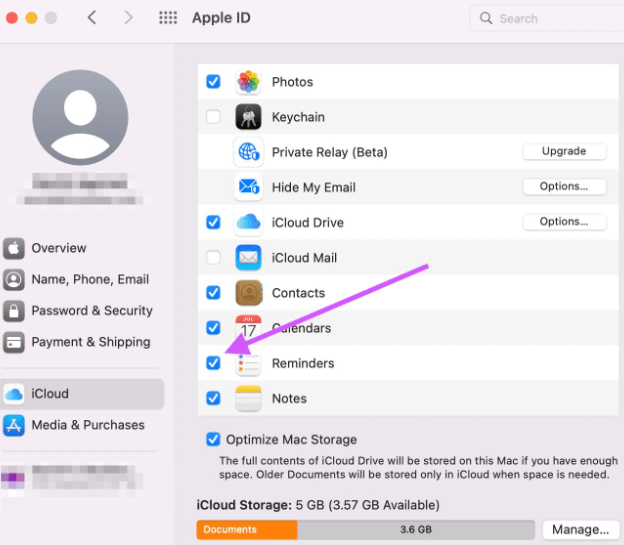 Synchronisieren und übertragen Sie Erinnerungen vom iPhone auf das Computersystem über den Apple Service