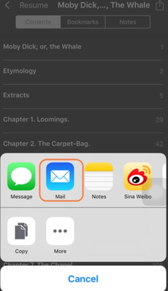 So übertragen Sie Bücher per E-Mail vom iPhone auf den Computer