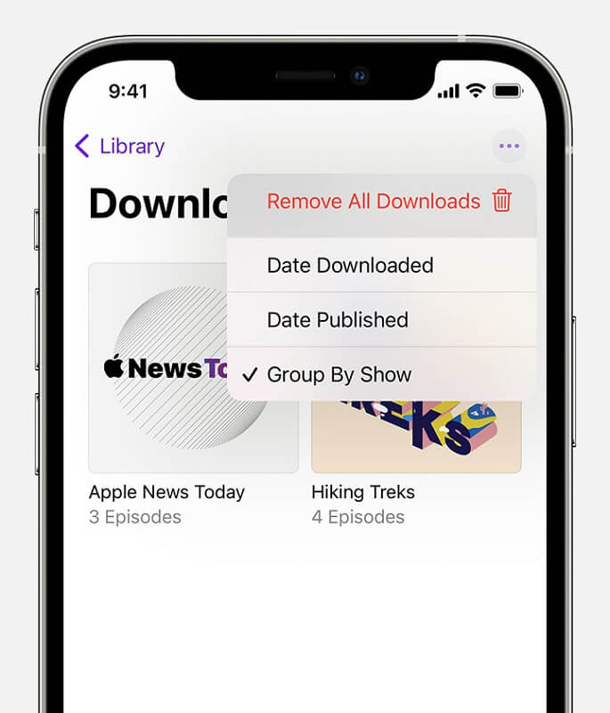 Wählen Sie „Alle Downloads entfernen“, um Podcasts vom iPhone zu löschen