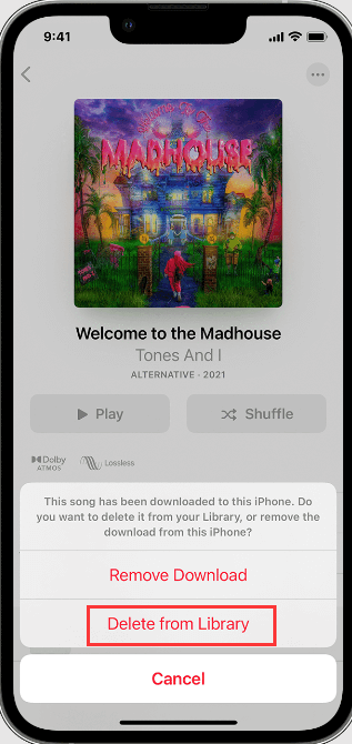 Löschen Sie Musik vom iPod mit der Musik-App