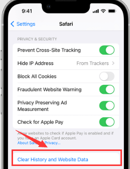 Cache Ihrer Safari-App löschen, um großen anderen Speicher auf iOS zu löschen
