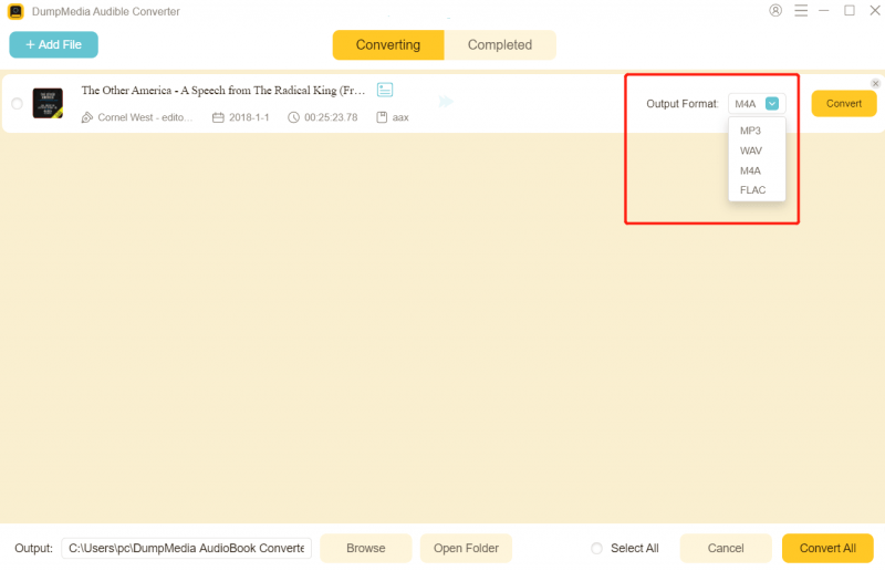 Konvertieren Sie AAX in MP3: DumpMedia Audible Converter – Ausgabeeinstellungen