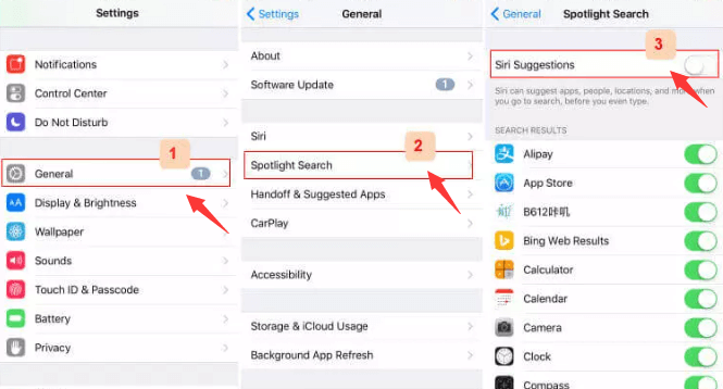 Löschen Sie Suchvorschläge auf dem iPhone mit iOS 11 oder früher