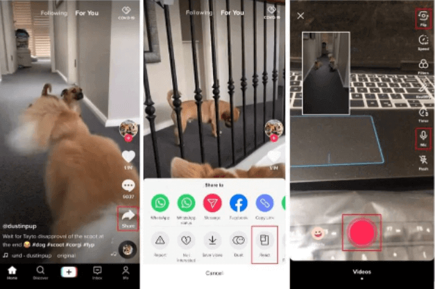 So erstellen Sie ein Reaktionsvideo auf Tiktok