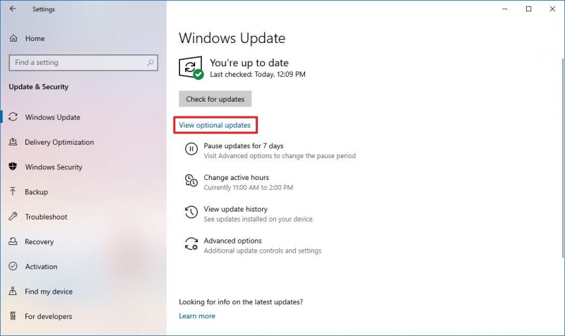 Aktualisieren Sie USB-Treiber über die Windows Update-Einstellungen, um ein beschädigtes Flash-Laufwerk ohne Formatierung zu reparieren Fix