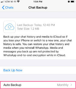 Wie speichere ich Audio von WhatsApp auf dem iPhone mit iCloud?