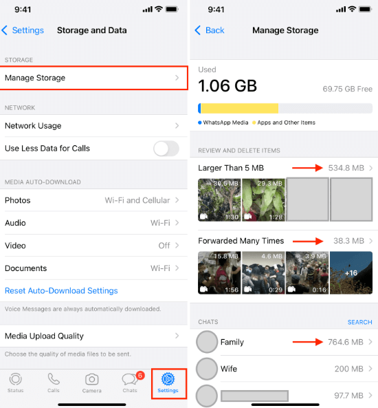 Löschen von WhatsApp-Medien auf dem iPhone über The Manager Storage