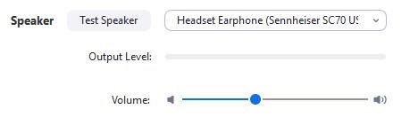 Zoom-Testanruf: Testen Ihres Audios