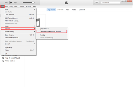 Übertragen Sie Podcasts mit iTunes vom iPhone auf den PC
