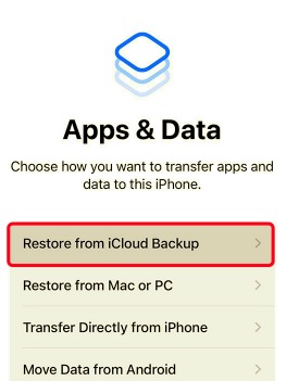 Übertragen Sie Apps vom iPhone auf das iPhone über iCloud Backup