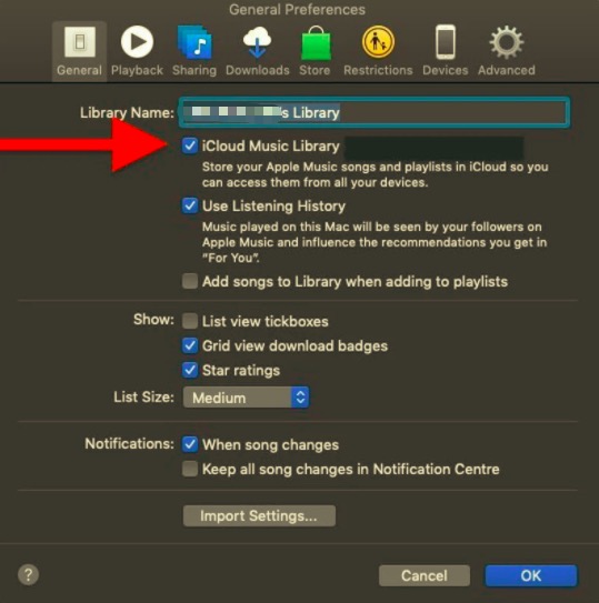 iPad-Musik über iCloud mit dem Computer synchronisieren