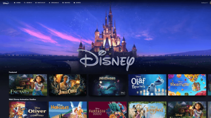 Disney Plus-Filme auf Laptops