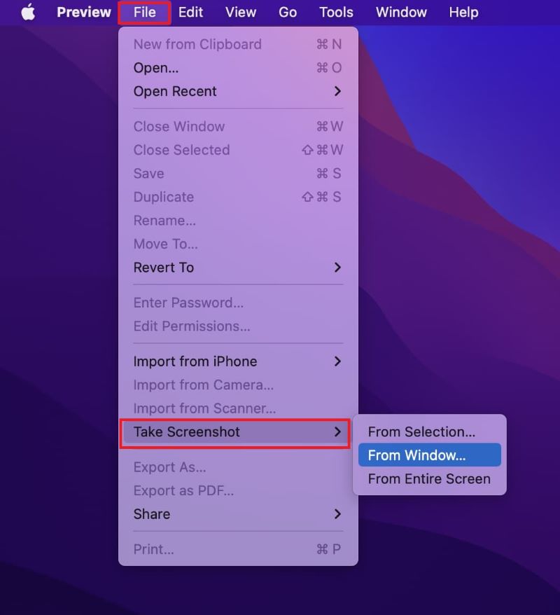 Machen Sie Screenshots mit der Vorschau, wenn Screenshots auf dem Mac nicht funktionieren