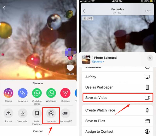 TikTok-Videos ohne Wasserzeichen auf dem iPhone speichern