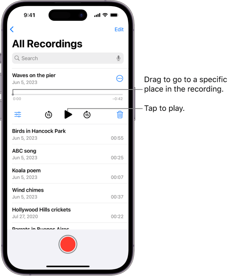 Nehmen Sie Audio mit Apple Voice Memo auf dem iPhone auf