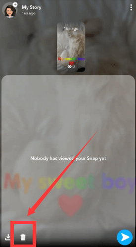 Löschen von Snapchat Picture Through Story