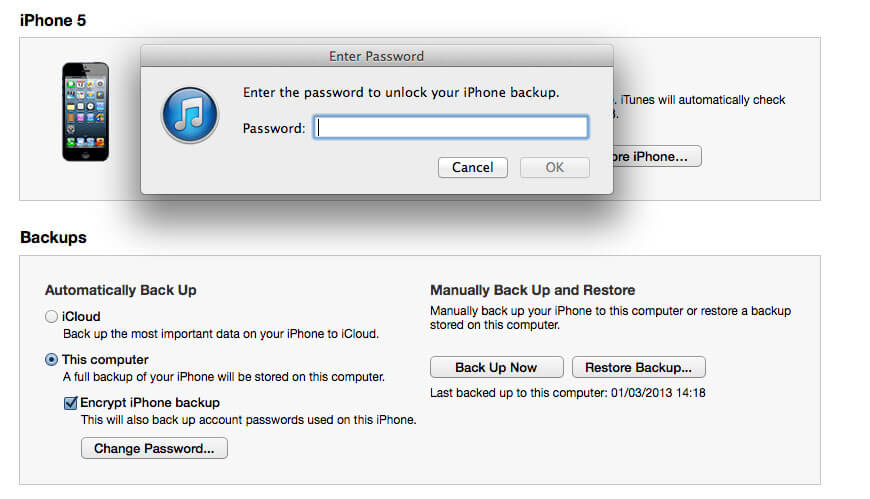 Backup-Iphone