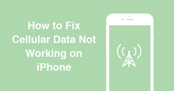 Fix Cellular Data funktioniert nicht auf dem Iphone