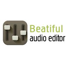 Verwenden Sie den Beautiful Audio Editor, um Audio auf Chromebook aufzunehmen