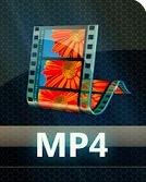 Instagram-Videokonverter - Videokonverter.MP4