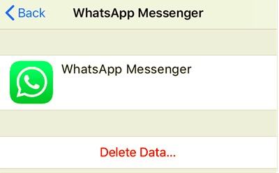Löschen Sie WhatsApp iCloud-Daten, um WhatsApp Backup zu löschen