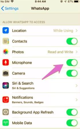 Erlauben Sie dem iPhone-Mikrofon die Berechtigung, WhatsApp-Sprach- oder Videoanrufe ohne Ton zu reparieren