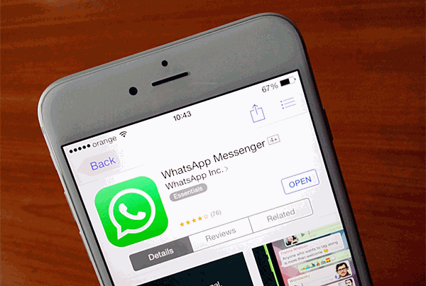 Aktualisieren Sie WhatsApp, um zu beheben, dass WhatsApp-Benachrichtigungen nicht funktionieren