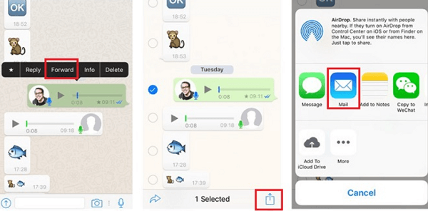Speichern Sie WhatsApp-Sprachnachrichten vom iPhone per E-Mail